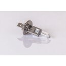 10x Glühlampe 24Volt H1 70W