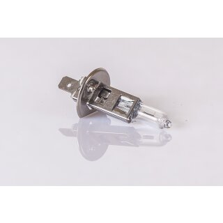 10x Glühlampen 12Volt H1 55W 12Volt Glühlampe Birne Glühbirne