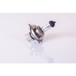 10x Glühlampen  Glühbirne Birne Glühlampe 12V H4 60/55W 12Volt Sockel P43